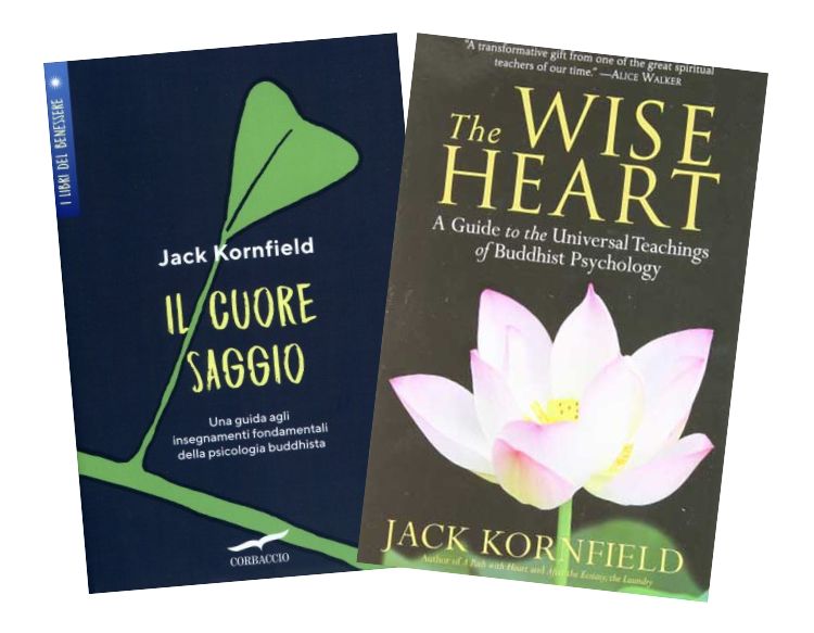 MSA Cuore saggio Kornfield